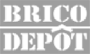 Logo Brico Depôt